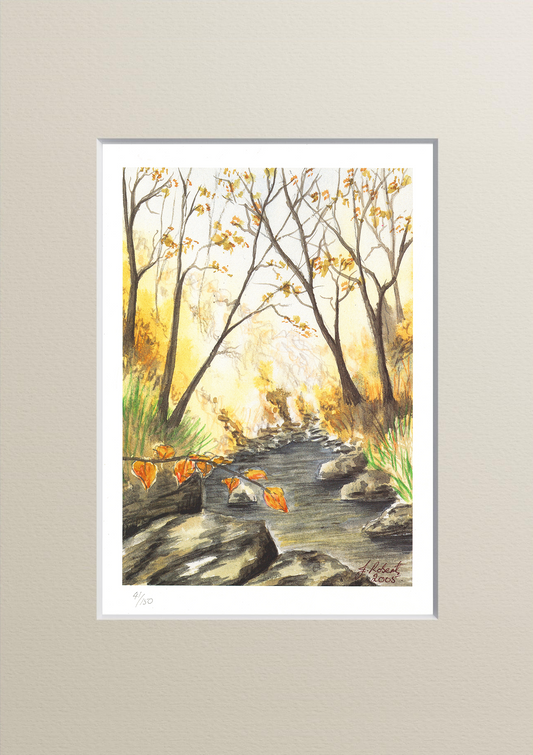 "Autumn Woodland Stream" Signed Limited edition watercolour lithographic print by Joanne Roberts.
The rich autumnal tones offer a cozy yet sophisticated focal point for bedrooms, offices, or living rooms.
Print Size: 7" x 9.5" with 2" Cream Mount.