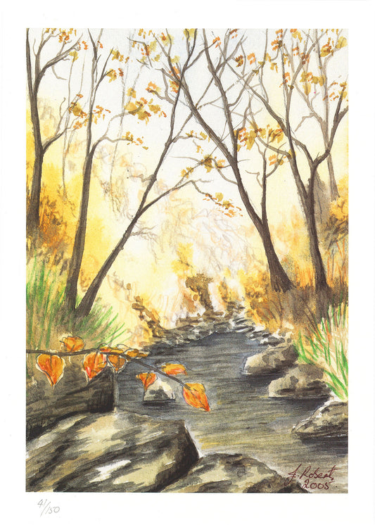 "Autumn Woodland Stream" Signed Limited edition watercolour lithographic print by Joanne Roberts.
The rich autumnal tones offer a cozy yet sophisticated focal point for bedrooms, offices, or living rooms.
Print Size: 7" x 9.5"