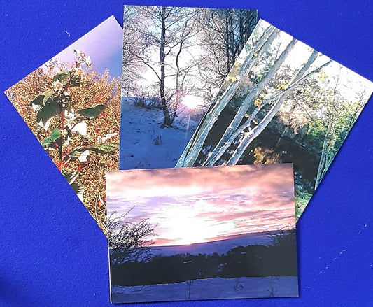 Mixed photo greetings cards, 5x7 inch - 1 each of Bramble, Sunset, Autumn Riverbank and Dusk