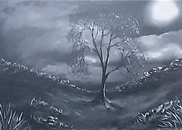 MTGP-2065 Moonlit Sycamore Gap. Card print of original artwork by Joanne Roberts. Atmospheric view of Sycamore Gap tree on Hadrians Wall in Northumberland UK. Single card, folded horizontally on the top, blank inside for your personal messages and memories to be added,. Includes white envelope and cello packaging. Size 5 x 7 inch