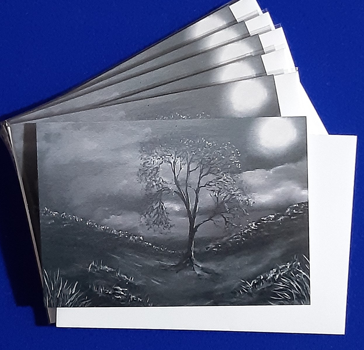 "Moonlit Sycamore Gap". Atmospheric moonlit view of Sycamore Gap tree on Hadrians Wall in Northumberland UK. In packs of 6 cards, folded horizontally on the top, blank inside for your personal messages and memories to be added,. Includes white envelope and cello packaging. Size 5 "x 7"
Code MTGP-2065