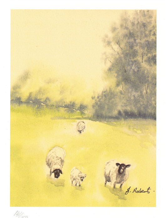 "Spring Lamb" Signed Limited edition watercolour lithographic print by Joanne Roberts. It is a beautifully crafted watercolour depiction of a mother sheep and her lamb, nestled in a vibrant field with a soft backdrop of distant trees.
Print Size 6.5" x 8.5"