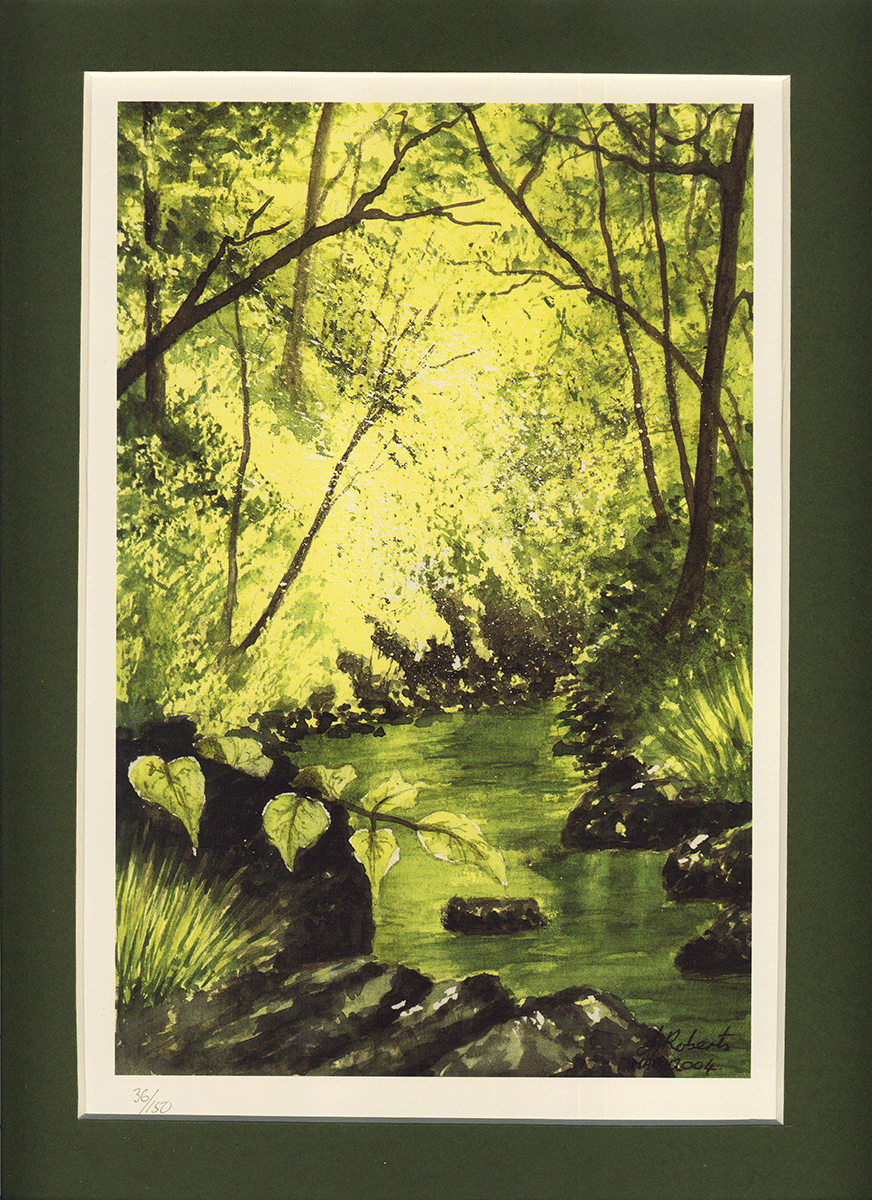 "Spring Woodland Stream" Signed Limited edition watercolour lithographic print by Joanne Roberts.
For anyone wishing to bring a breath of fresh UK countryside air into an office, living room, or cozy reading nook.
Print Size 5.5" x 10.5" with 2" Dark Green Mount.