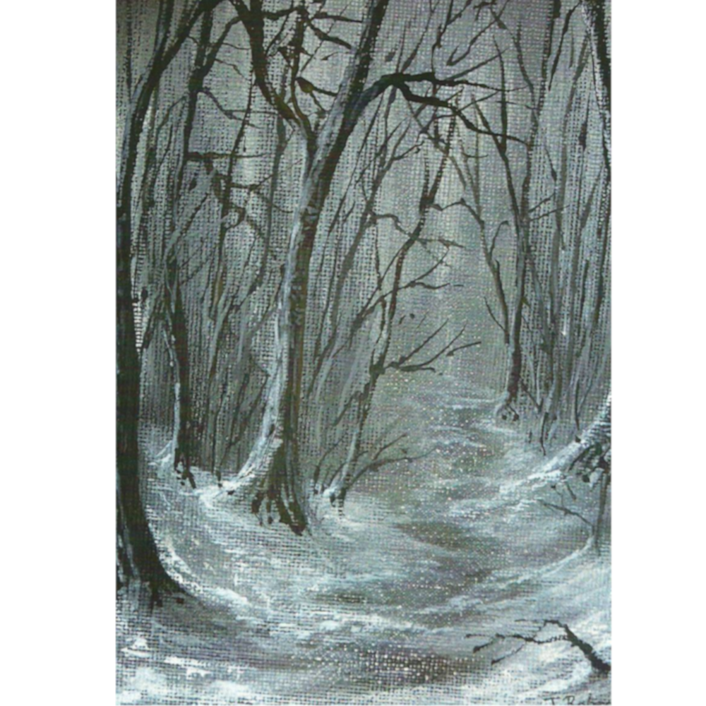 Christmas Card - Woodland Walk
Print of an original artwork by Joanne Roberts, View of a deep shady winter woodland walk. Single card, folded vertically on the left, includes white envelope and cello packaging. Blank inside for your personal messages and memories to be added. Size 5 x 7 inch