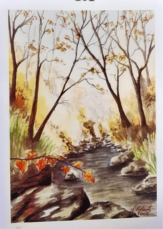 MTGP-2007 Autumn Woodland Stream , watercolour print.