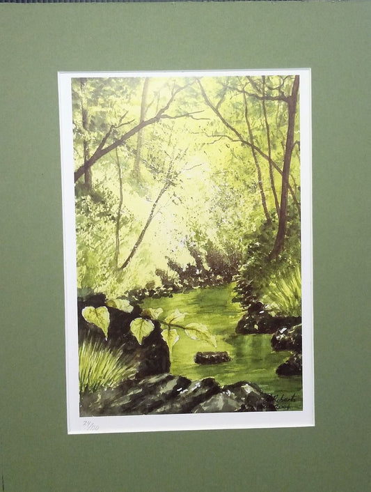 Signed Limited edition watercolour lithographic print by Joanne Roberts. Titled - Spring Woodland Stream.
Print Size 5.5" x 10.5" with 2" Green Mount boarder.