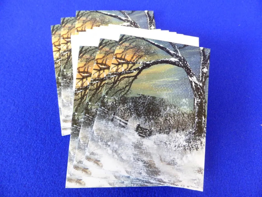 Christmas Gift Cards - Winter Linn Gate 1
Print of an original artwork by Joanne Roberts, View of a winter woodland walk with the kissing gate ahead to walk through. Single packs of 6 cards, folded vertically on the left, includes white envelope and cello packaging. Blank inside for your personal messages and memories to be added.