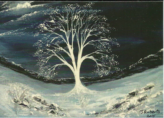 Christmas Card, White Moonlit Sycamore