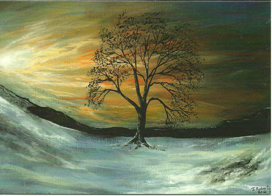 Christmas Card, Sunset Sycamore
