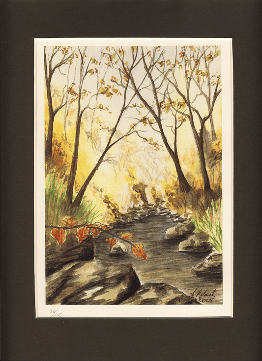Art Prints - Autumn Woodland Stream - Signed Limited Edition Art Print