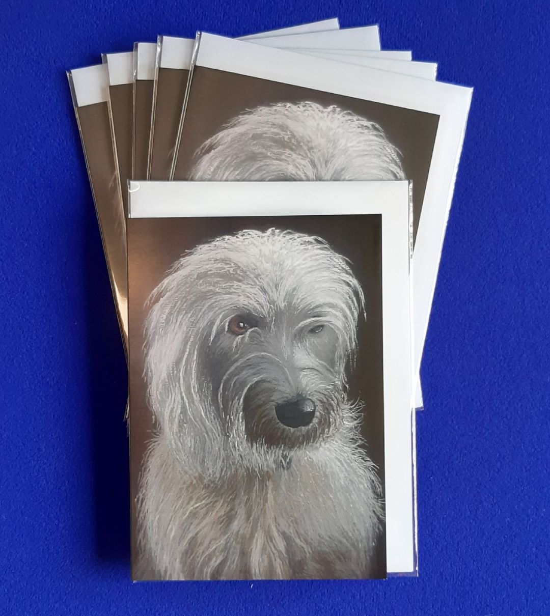 "Dog Named Bee" – Pack of 6 Card prints of an original artwork by Joanne Roberts. Image of a beautiful Bedlington Terrier set on a chocolate brown background. "Greeting Card" Size A6, 5" x 7", includes 6 white envelopes. Individually wrapped for protection.