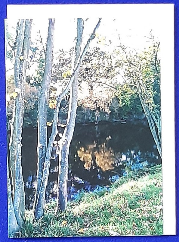 Photo greetings cards, 5x7 inch - Autumn Riverbank