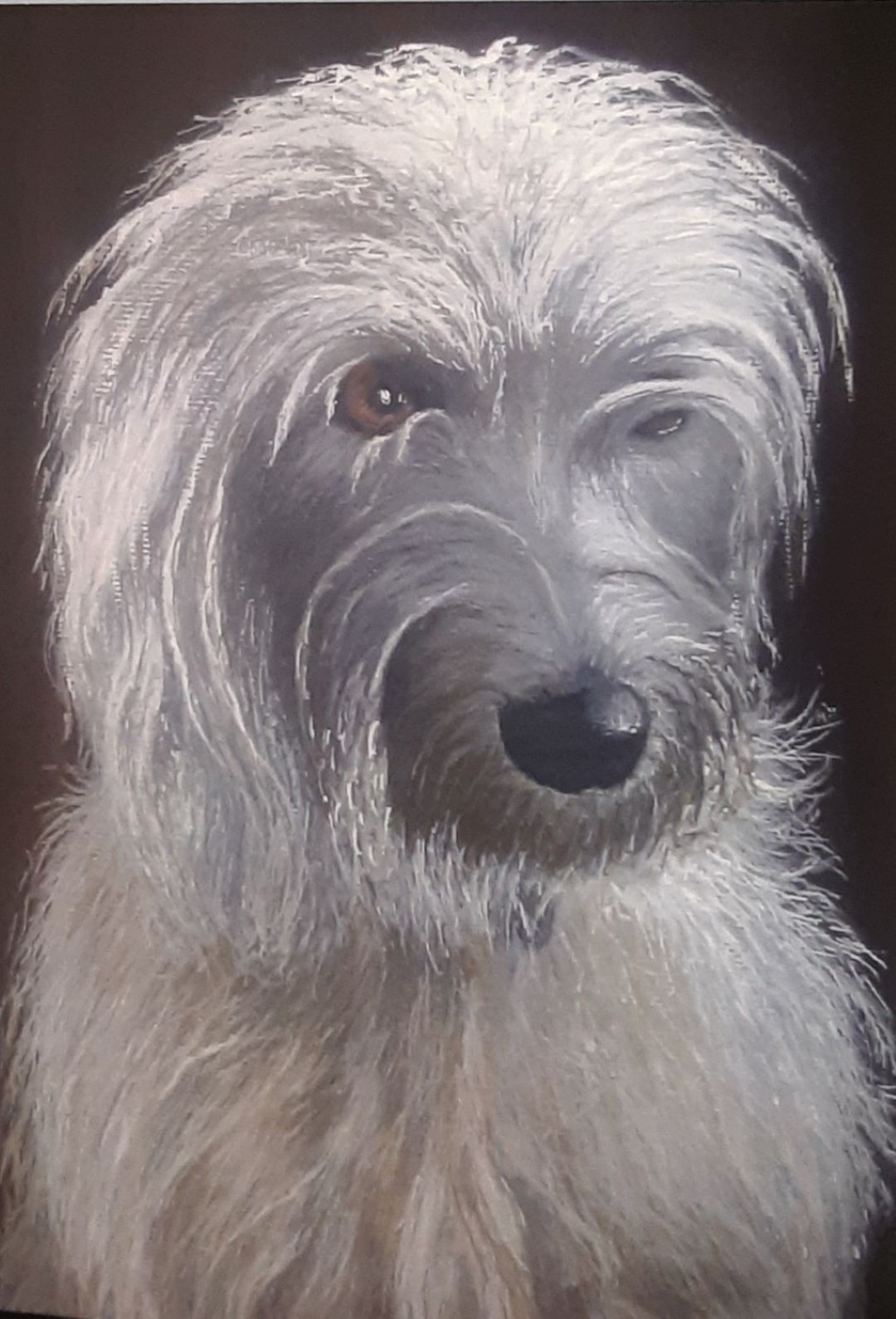"Dog Named Bee" – Card print of an original artwork by Joanne Roberts. Image of a beautiful Bedlington Terrier set on a chocolate brown background. Greeting Card Size A6, 5" x 7", includes white envelope.