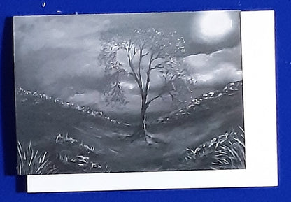 MTGP-2065 Moonlit Sycamore Gap.  Atmospheric view of Sycamore Gap tree on Hadrians Wall in Northumberland UK. Single card, folded horizontally on the top, blank inside for your personal messages and memories to be added,. Includes white envelope and cello packaging. Size 5 x 7 inch