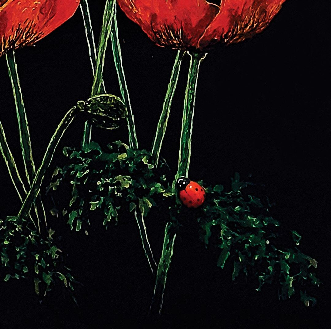 A close up image of the smiling Ladybird resting on a poppy leaf. "Beee Happy" is a digital print of an orginal artwork set on a 100% cotton tea towel.