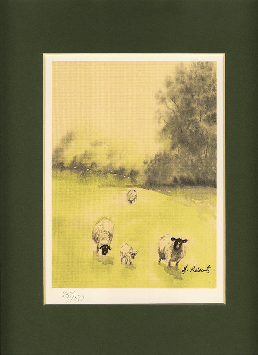 Art Prints - Spring Lamb - Signed Limited Edition Watercolour Art Print