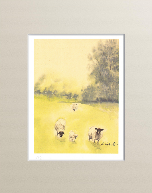 "Spring Lamb" Signed Limited edition watercolour lithographic print by Joanne Roberts. It is a beautifully crafted watercolour depiction of a mother sheep and her lamb, nestled in a vibrant field with a soft backdrop of distant trees.  
Print Size 6.5" x 8.5" with 2" Cream Mount.