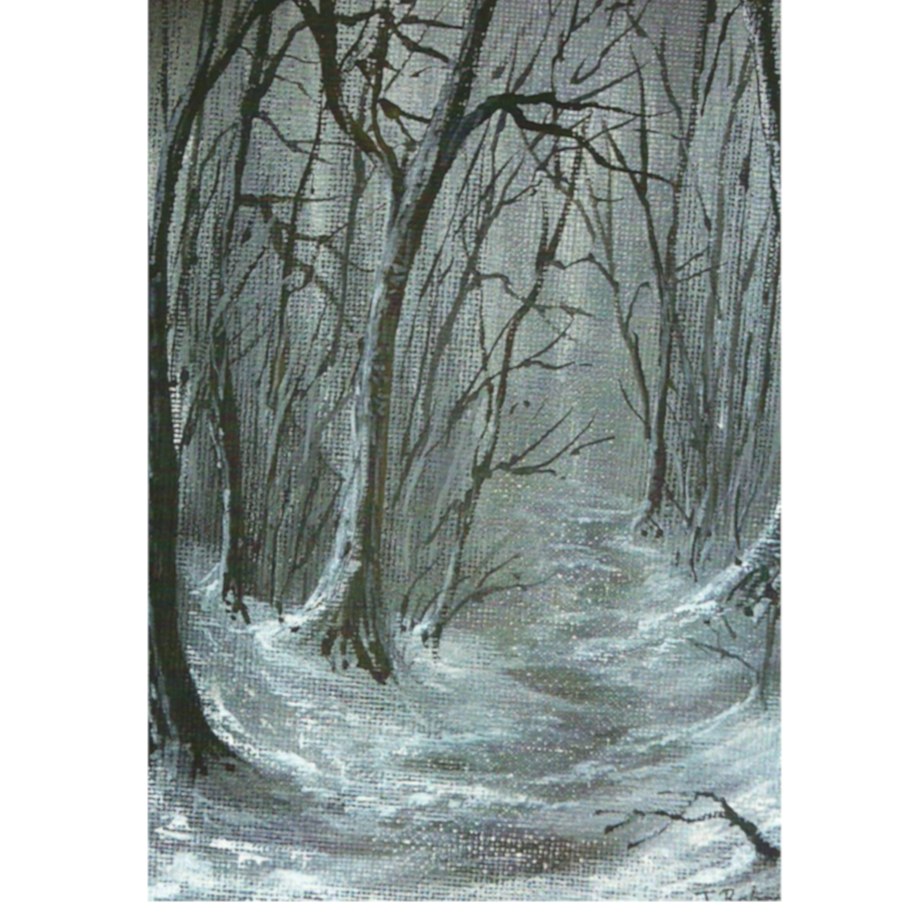 Christmas Card - Woodland Walk