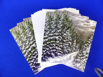 Christmas Cards, Moonlit Forest Trail
Print of an original artwork by Joanne Roberts,  View of the winter heavy snow laden forest trail, moon is peeping through the clouds on the top right.  Packs of 6 or 12 cards, folded vertically on the left, includes white envelope and cello packaging. Blank inside for your personal messages and memories to be added. Size 5 x 7 inch