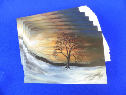 Christmas or Greeting Cards, In packs of 6 or 12 "Sunset Sycamore" View of a snowy sunset at sycamore gap on Hadrians Wall in Northumberland UK.  Folded horizontally at the top. Blank inside for your personal messages and memories to be added. Includes white envelope and cello packaging, size A6, 5x7 inch. A touch of Northumberland magic.